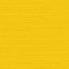 Sunflower Yellow